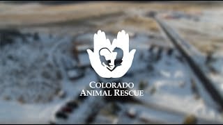care-colorado-animal-rescue