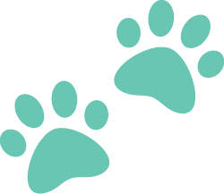 documoto-paw-icon-2