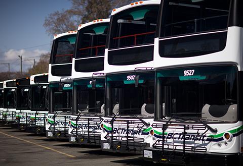 BC Transit - Bus Fleet