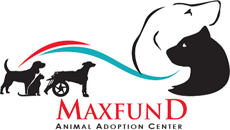 max-logo